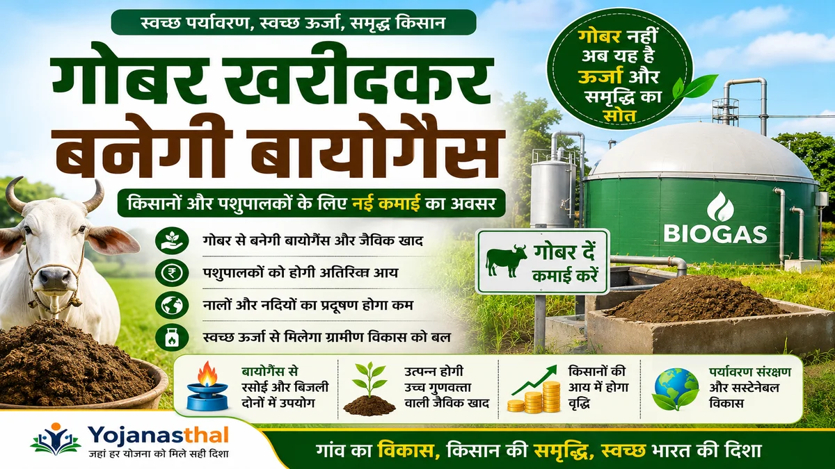 गोबर खरीदकर बायोगैस योजना: किसानों, पशुपालकों और गांवों को कैसे मिलेगा लाभ?
